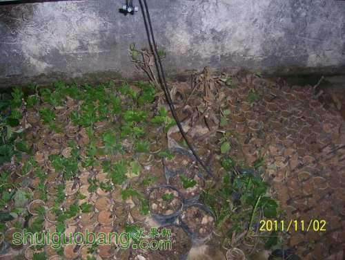 100_1288.JPG