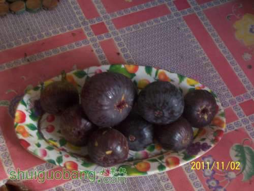 100_1271.JPG