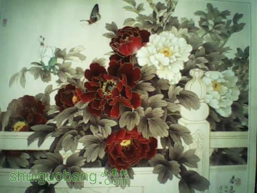 IMG0250A.jpg