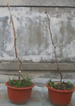 QQͼ20120118122741.jpg