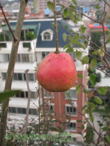 IMG_0484.JPG