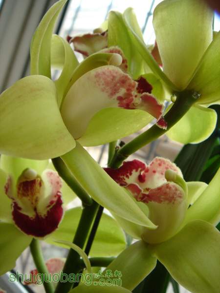 δ2012118-12.jpg