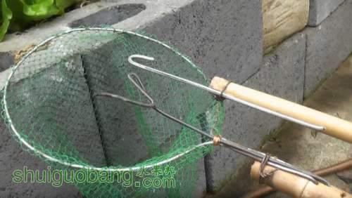 IMGA0005.JPG