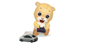 02.gif
