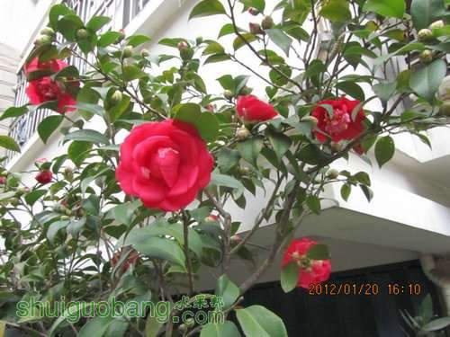IMG_0003.JPG