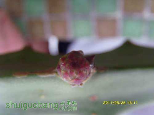 С SI854014.JPG