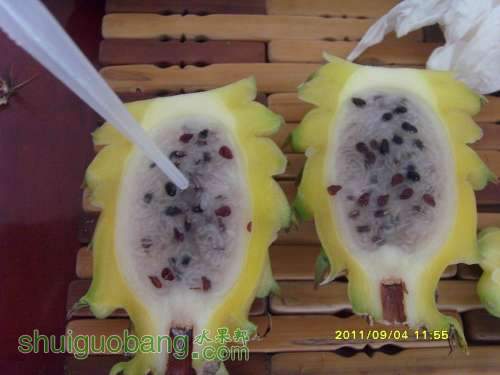 С SI857079.JPG