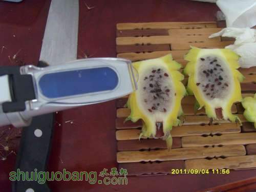 С SI857080.JPG
