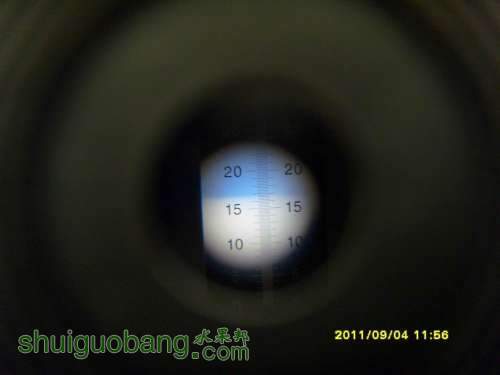 С SI857081.JPG