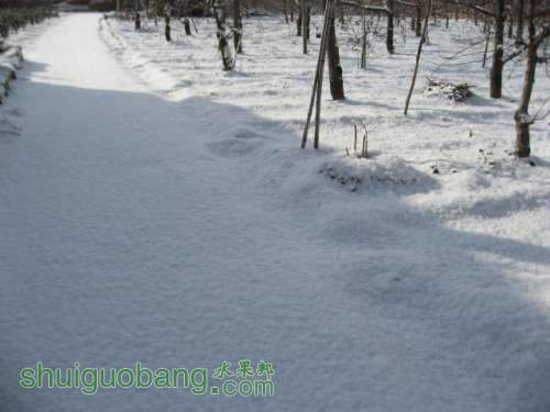2012ĵһѩ 003.jpg