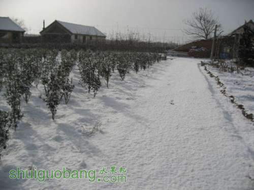 2012ĵһѩ 006.jpg