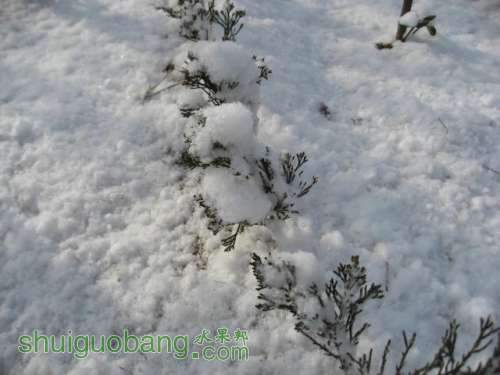 2012ĵһѩ 008.jpg
