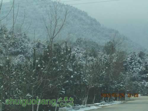 IMG_0026.JPG