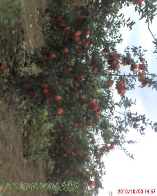 moto_0019.jpg