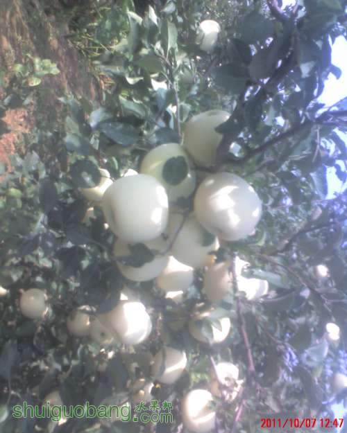 moto_0035.jpg