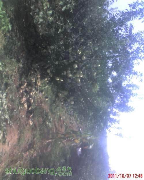 moto_0038.jpg