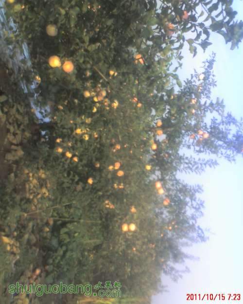 moto_0046.jpg