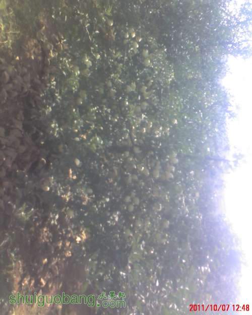 moto_0039.jpg