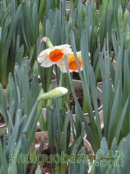 IMG_0144.JPG