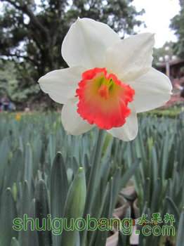 IMG_0150.JPG