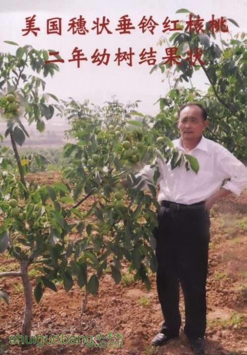 δ.jpg