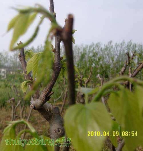 SNC11703.JPG