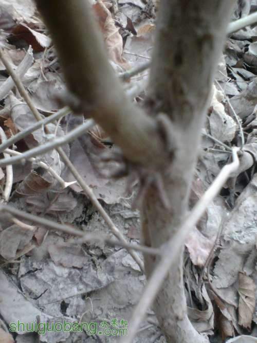 IMG_20120208_161527.jpg