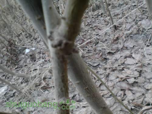 IMG_20120208_161454.jpg