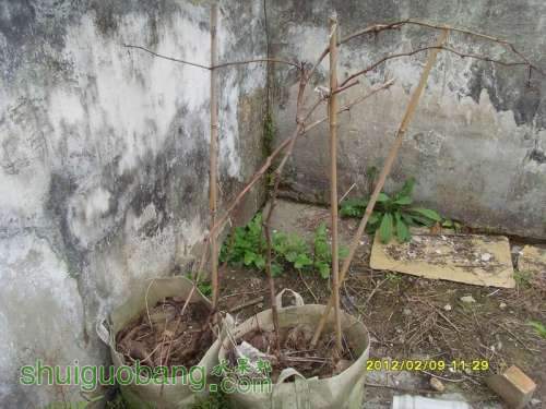 С С SI850876.JPG