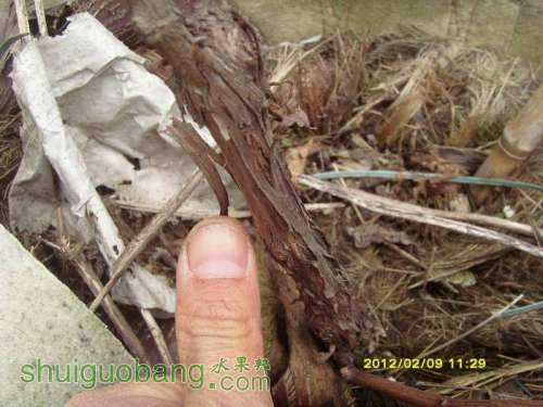 С С SI850877.JPG