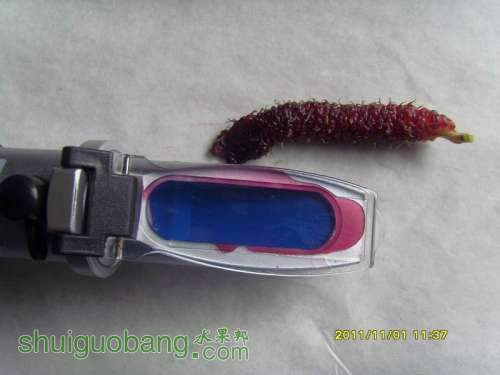С С SI858528.JPG