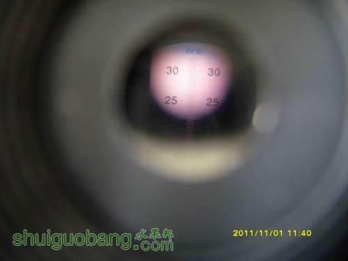 С С SI858531.JPG