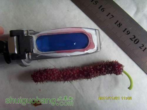 С С SI858534.JPG
