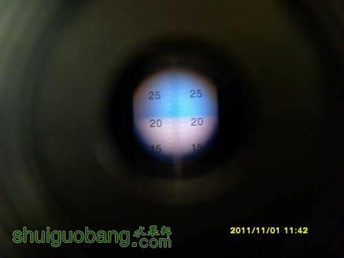 С С SI858535.JPG