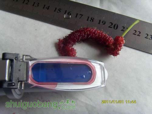 С С SI858537.JPG