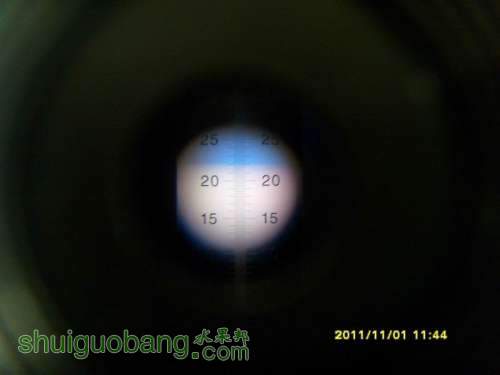 С С SI858538.JPG