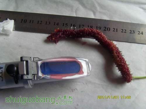 С С SI858540.JPG