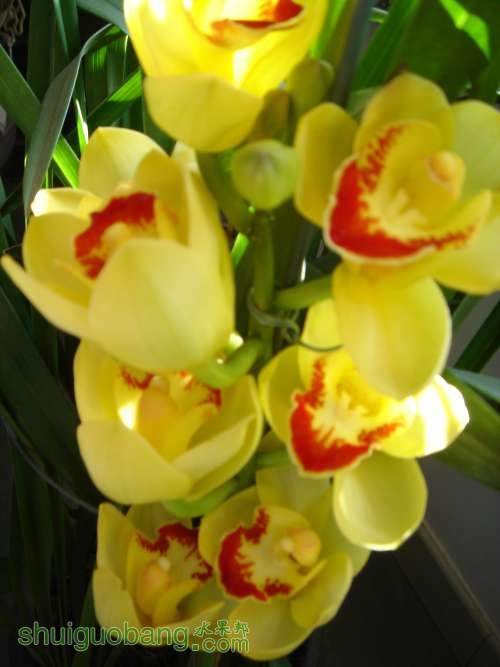 2012210-4.JPG