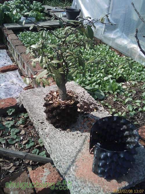 IMAG0001.jpg