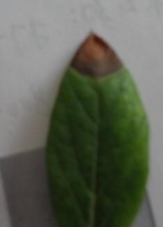 (HGVNO(7JA_}NSPCOKKUK`W.jpg