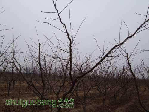 2012괺޼Ƭ 002.jpg