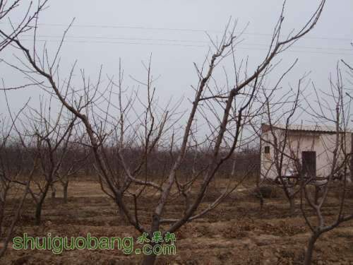 2012괺޼Ƭ 004.jpg