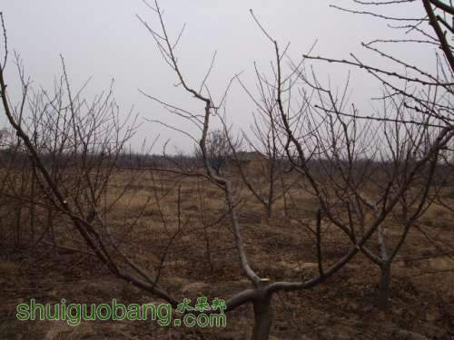 2012괺޼Ƭ 003.jpg