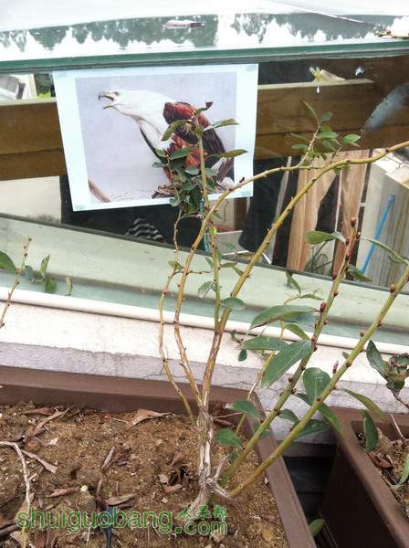 ��Ƭ20120208 188.jpg