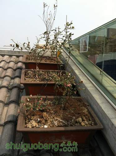 ��Ƭ20120216 019.jpg