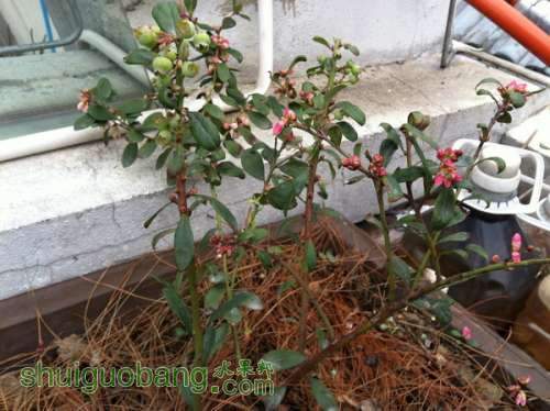 ��Ƭ20120208 187.jpg