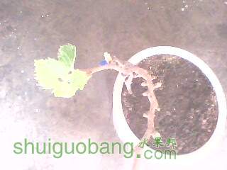 IMG0023A.jpg