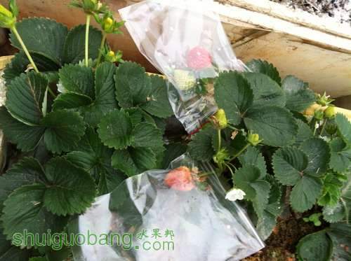 Ƭ20120216 215.jpg