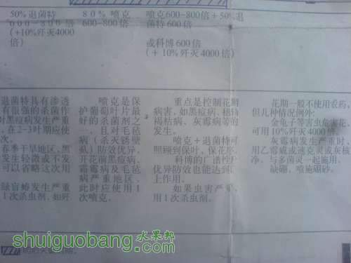 psb56.jpg