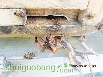 IMG_2267.JPG